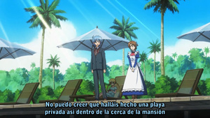 Hayate no Gotoku!!: Atsu ga Natsuize - Mizugi-hen!